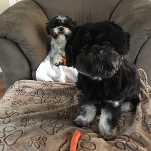 Meet your Posher, Helene